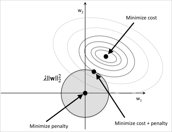 Sparse solutions with L1 regularization