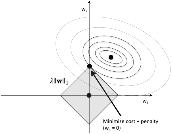 Sparse solutions with L1 regularization