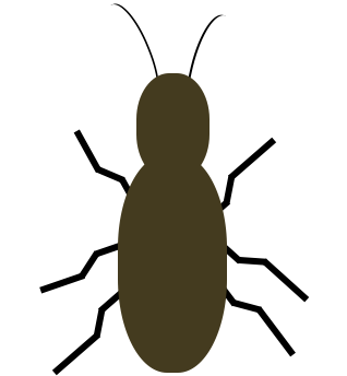 This roach is made from only three symbols. In the Library, they are named Body, Leg, and Antenna. Instances of symbols can be altered by changing their properties so they can perform multiple duties.