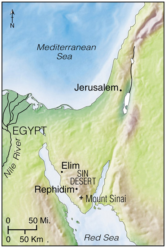 Journey to Mount Sinai