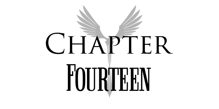 Chapter 14