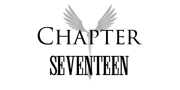 Chapter 17