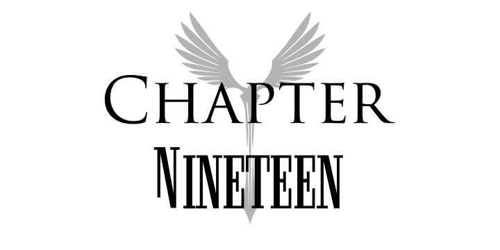 Chapter 19