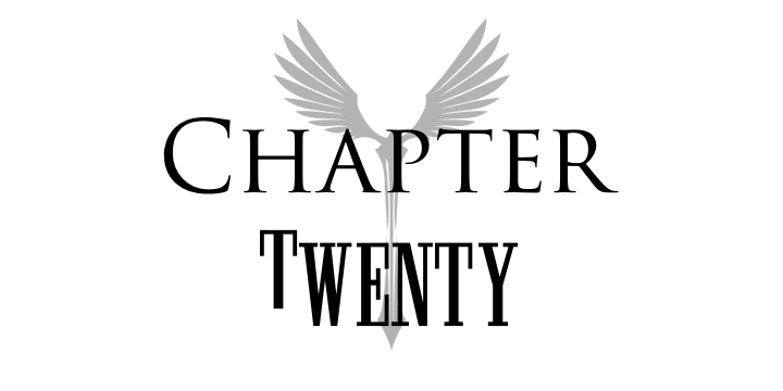 Chapter 20