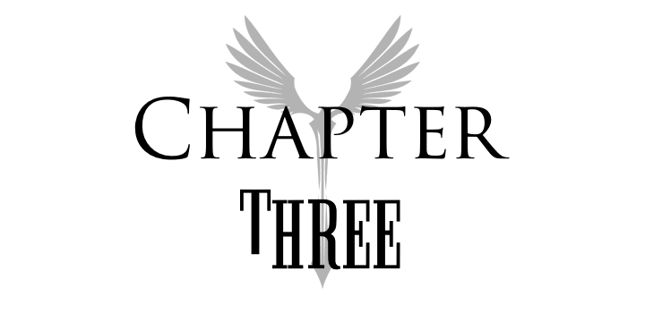 Chapter 3