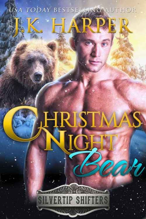 Christmas Night Bear