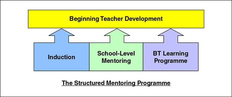 Diagram shows components of structured mentoring programme such as induction, school-level mentoring, BT learning programme and beginning teacher development.