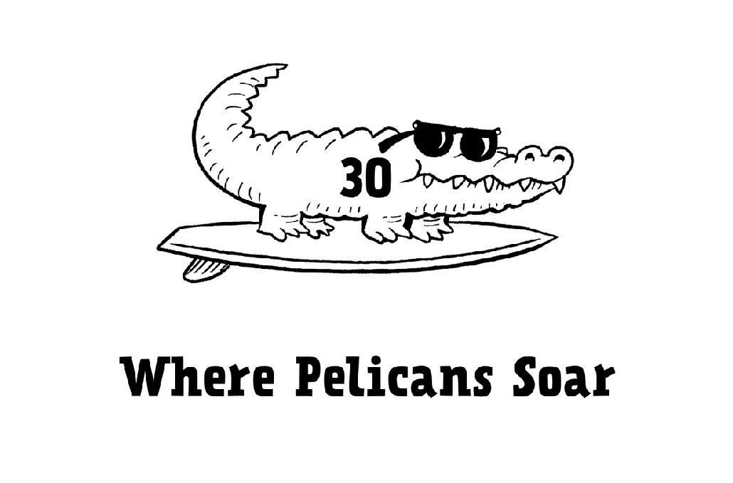 30 Where Pelicans Soar