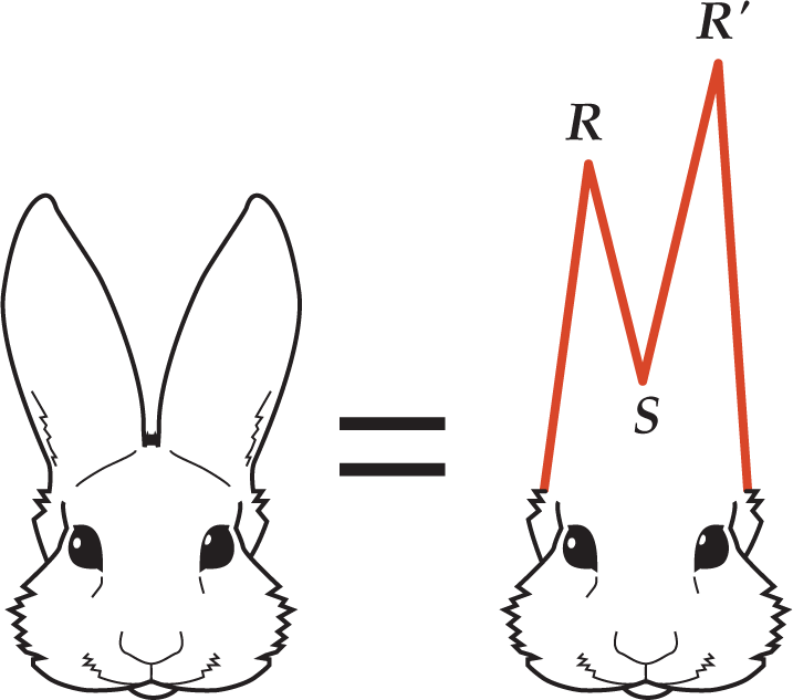 An illustration shows that the uppercase R S uppercase R prime waveform appears like rabbit ears.