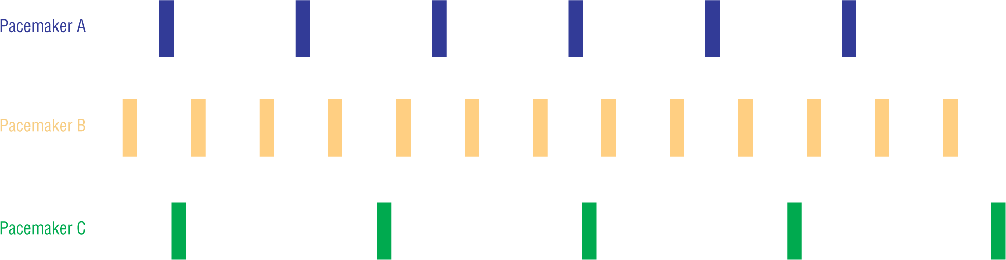 An illustration shows the frequency of complexes in the rhythm strips generated by different pacemakers.