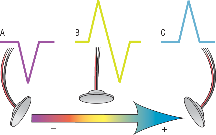 Three illustrations, A through C, show the wave deflection recorded by the electrodes corresponding to the direction of the traveling wave.