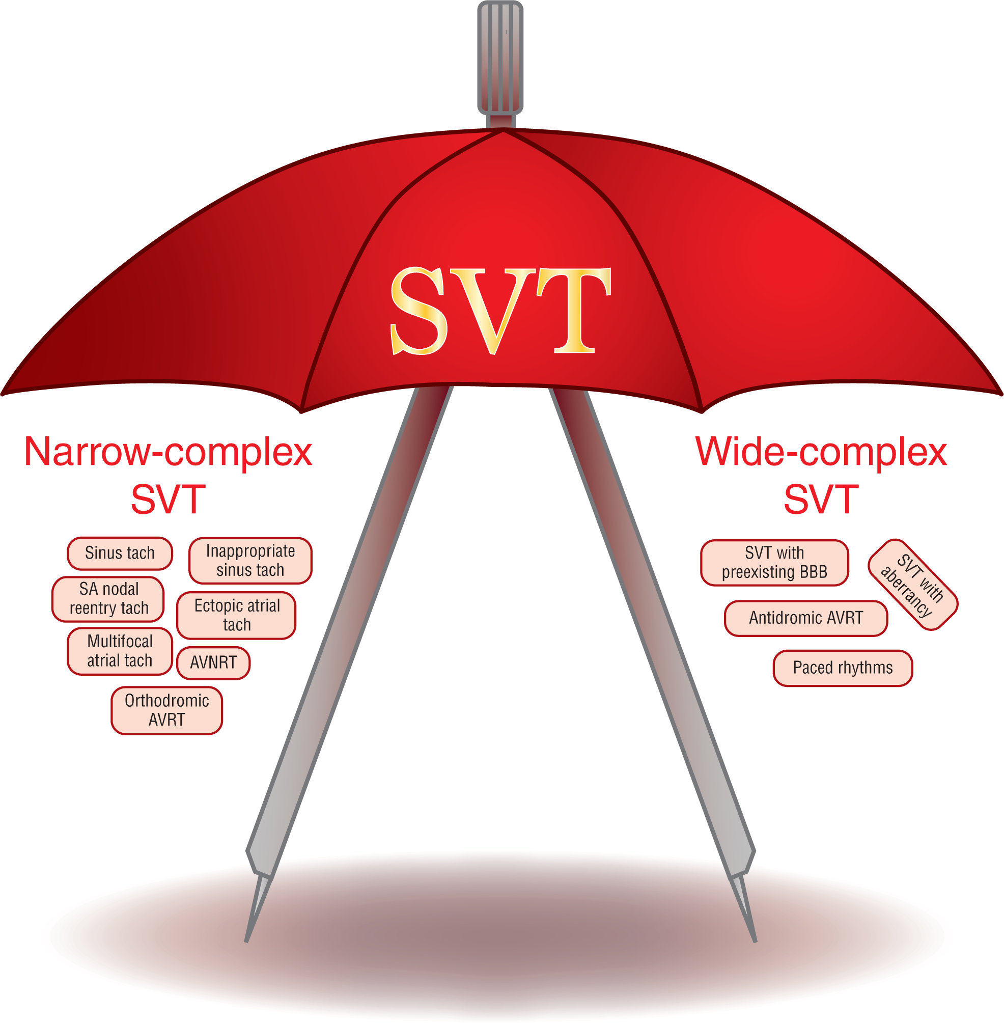 An illustration lists the terms that fall under the umbrella of supraventricular tachycardia or SVT.