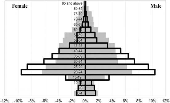 A330433_1_En_4_Fig3_HTML.gif