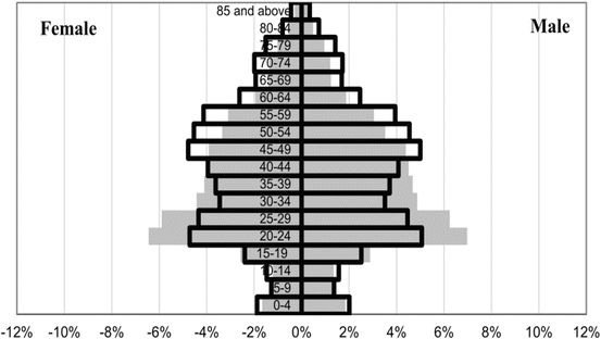 A330433_1_En_4_Fig4_HTML.gif