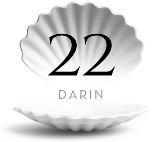 22: Darin