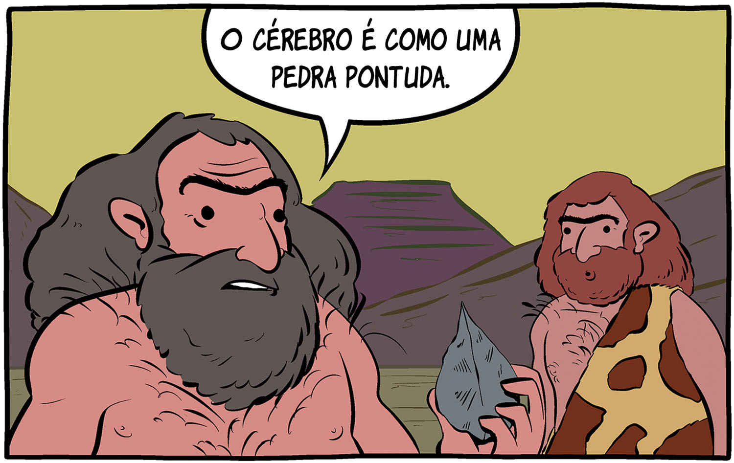 O cérebro é como uma pedra pontuda.