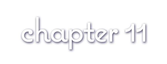 Chapter 11