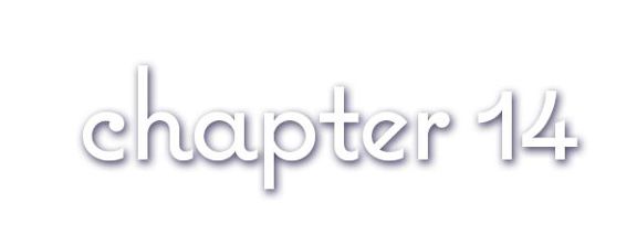 Chapter 14