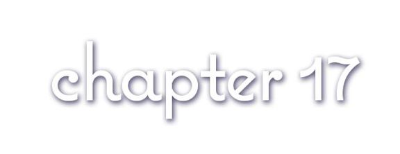 Chapter 17
