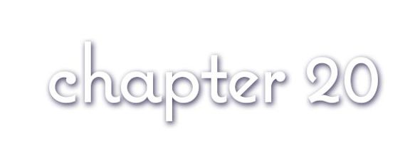 Chapter 20