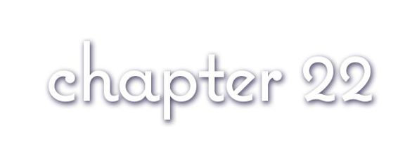 Chapter 22