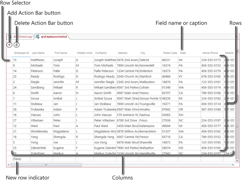 A screen shot of the qryEmployeesSorted query open in Datasheet view. The Add Action Bar and Delete Action Bar buttons are shown in the upper-left corner of the grid. Author has scrolled to the bottom of the grid to show an empty new record line.