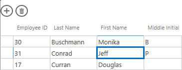 A screen shot of a query open in Datasheet view. The First Name cell in this grid is currently outlined.