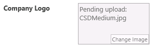 A screen shot of the image control bound to the Company Logo field on the Vendor List view. No image is shown, only the name of the file and a pending upload message.