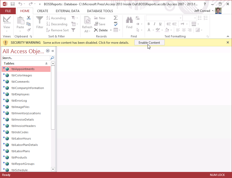 A screen shot of the Access window in a desktop database. The Navigation pane displays a list of all the tables in the Back Office Software System web app with a linked table icon.