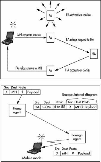 ch22-fig22.5.gif