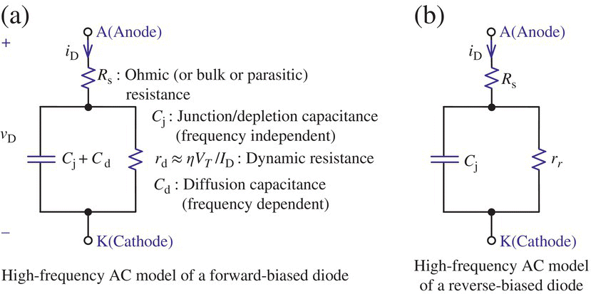 Circuit diagrams of high-frequency AC model of a diode consists of a capacitor labeled Cj + Cd, resistor, etc. (a) and high-frequency AC model of a reverse-biased diode consists of a capacitor labeled Cj, etc. (b).