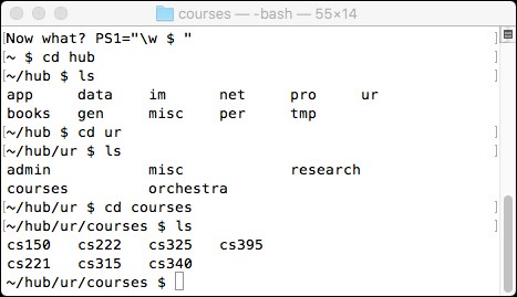 The command line