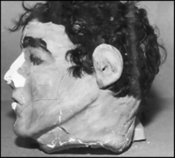 File:Dummy head.jpg