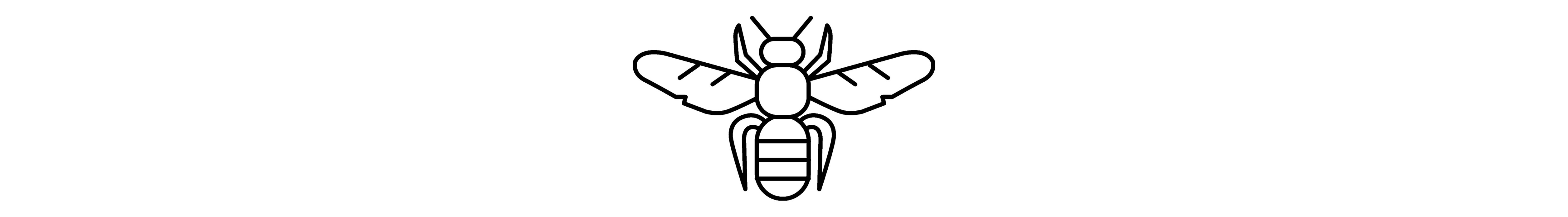 A black and white vector illustration of an insect with wings