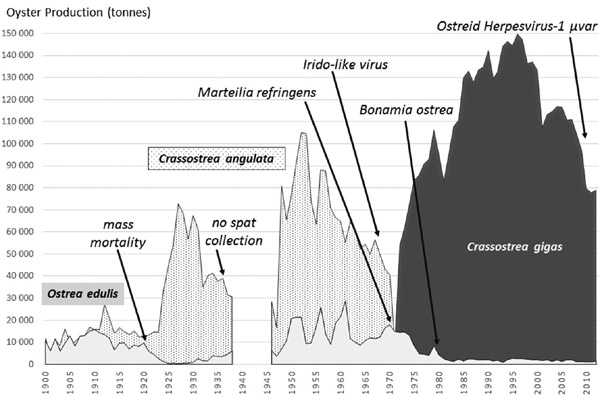 Figure 3.1