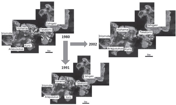 Figure 20.2