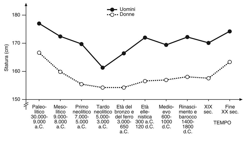 1.2 Statura di donne e uomini nel corso degli ultimi 30.000 anni.14