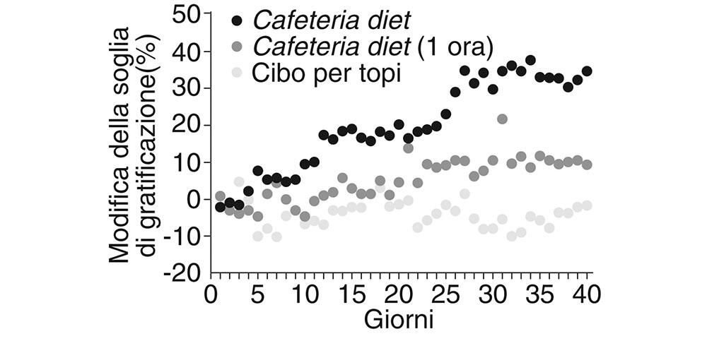 1.8 Modifica della soglia di gratificazione in rapporto alla dieta, registrata nei tre gruppi nell’arco di 40 giorni.39