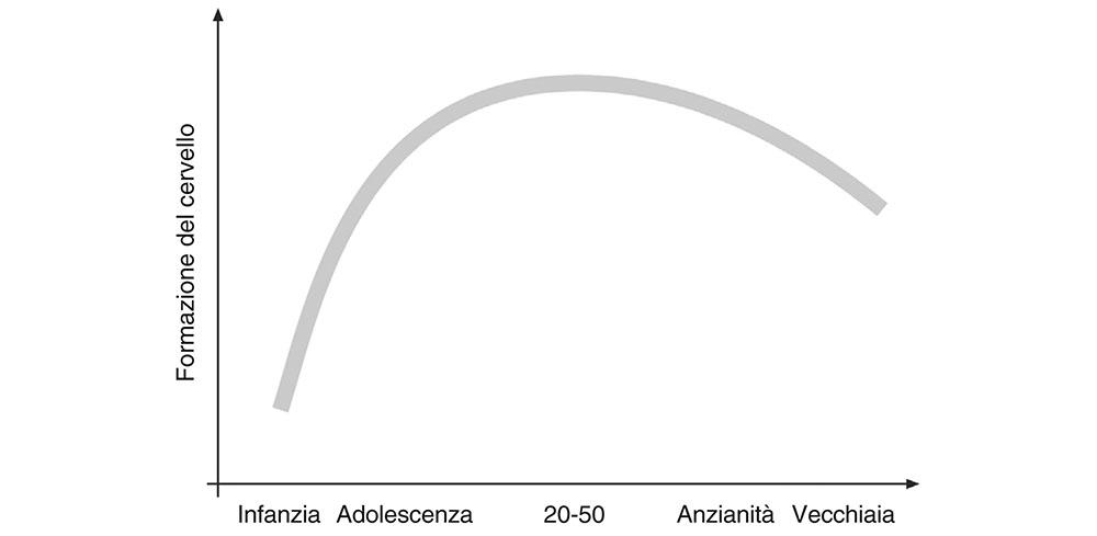 9.1 L’aumento delle funzionalità del nostro cervello avviene soprattutto durante l’infanzia e l’adolescenza. Dall’anzianità si registra una diminuzione.374