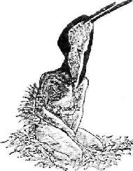 Image_013