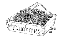 HH_187_blueberries.tif