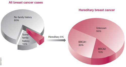 breast-hereditary.jpg