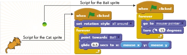 Programming a cat to run after a tennis ball