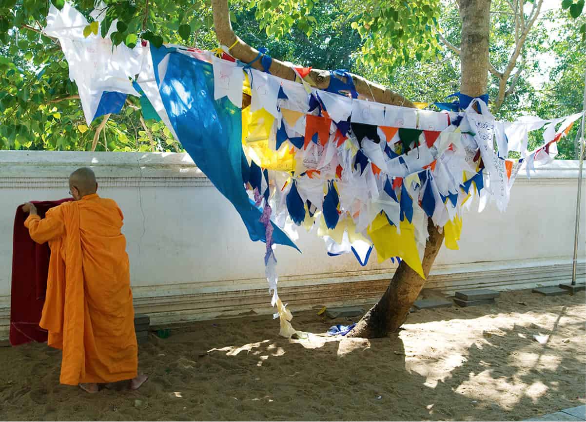 Anuradhapura-5505_SriLanka_EC.jpg