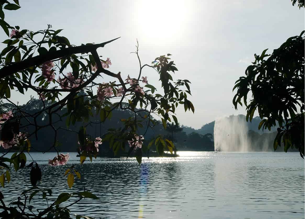 Kandy-6877_SriLanka_EC.jpg