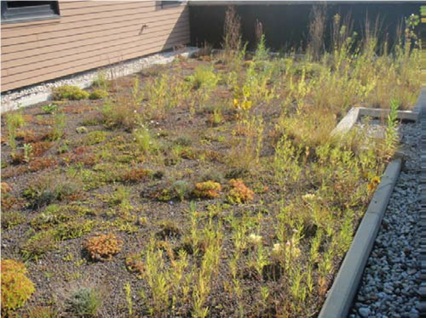 Green Roof Installed on Village of Villa Park, Illinois, Police Station