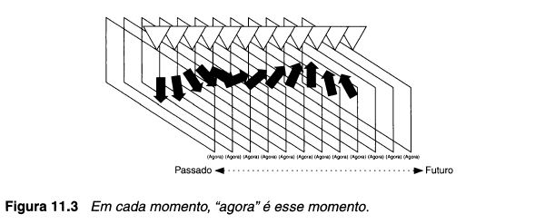 Figura 11.3