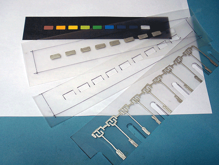 2-34_membrane_layers.tif