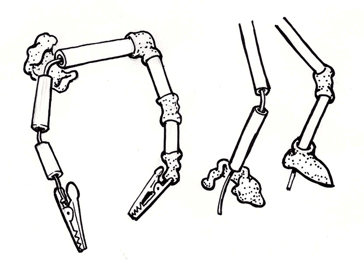 2-4_TIN_Sugru_bots_detail1.tif