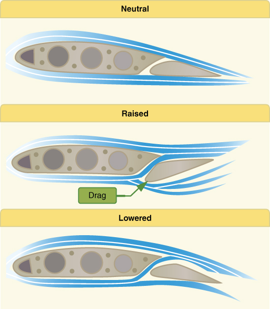 Three schematic diagrams for Frise‐type ailerons for Neutral, Raised, and Lowered. In Raised, Drag is marked with an arrow.